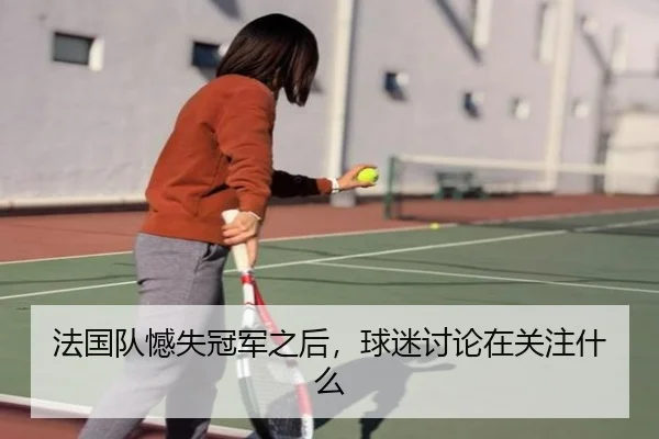 法国队憾失冠军之后，球迷讨论在关注什么